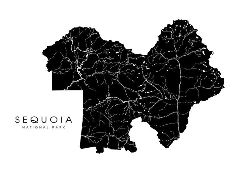 Parque Nacional Secuoyas