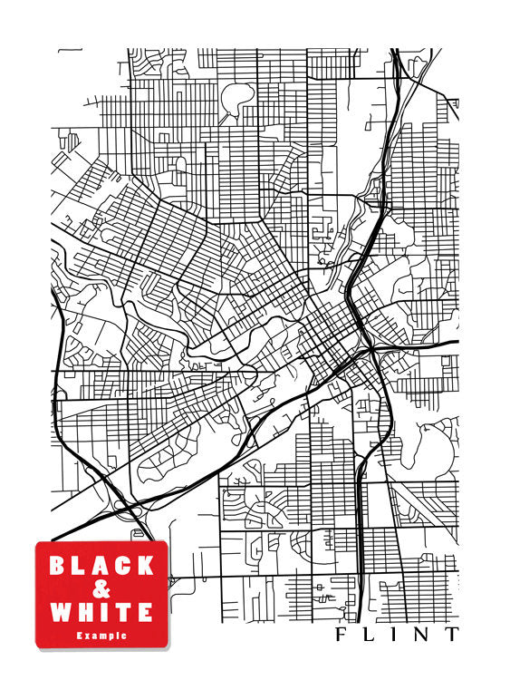 Flint, Michigan