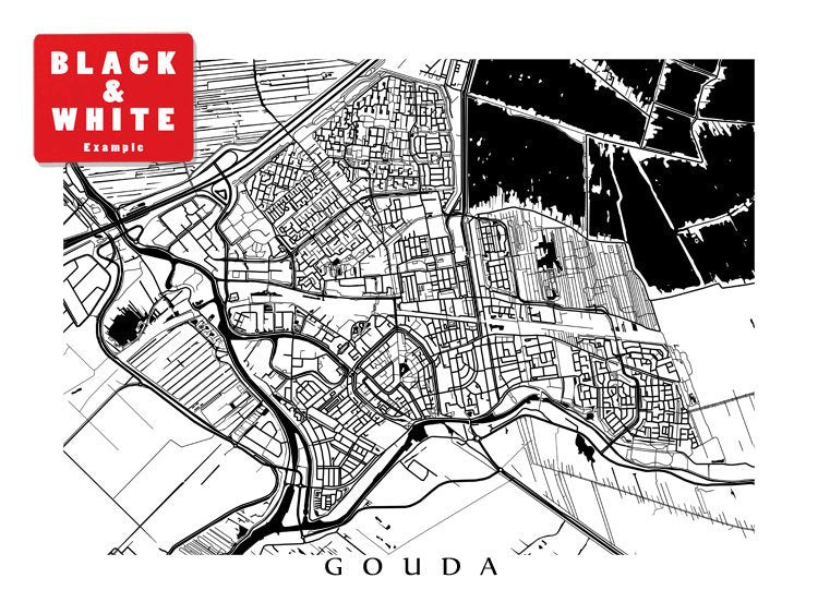 Gouda